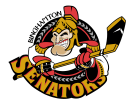 Binghamton_Senators_svg