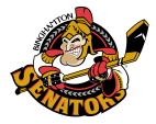 Binghamton_Senators_svg